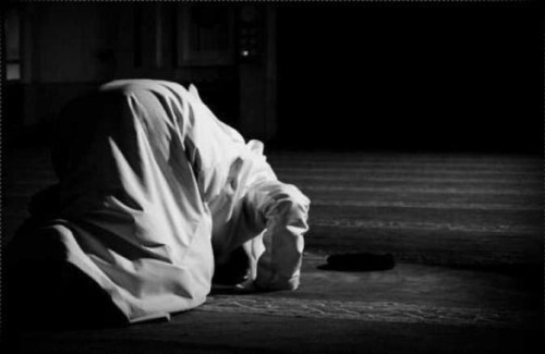 A person makes sujud (prostration) - Offering Two Rak`ahs of Shukr, Ok