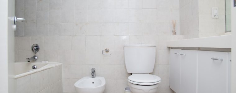 Answering the Call of Nature While Facing the Qiblah: Allowed?