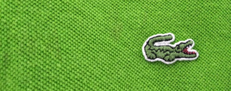 Is It Okay to Pray (Make Salah) with Animals’ Logo Clothes?